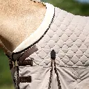 C2_L0857.webp