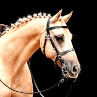Spanish Bridle Conde Simple with Leather Reins
