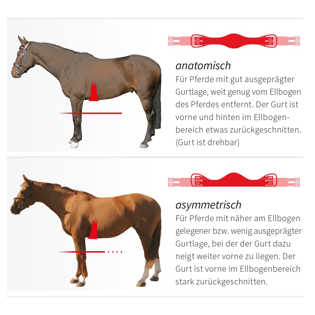 Mattes Kurzgurt mit Lammfell konfigurieren