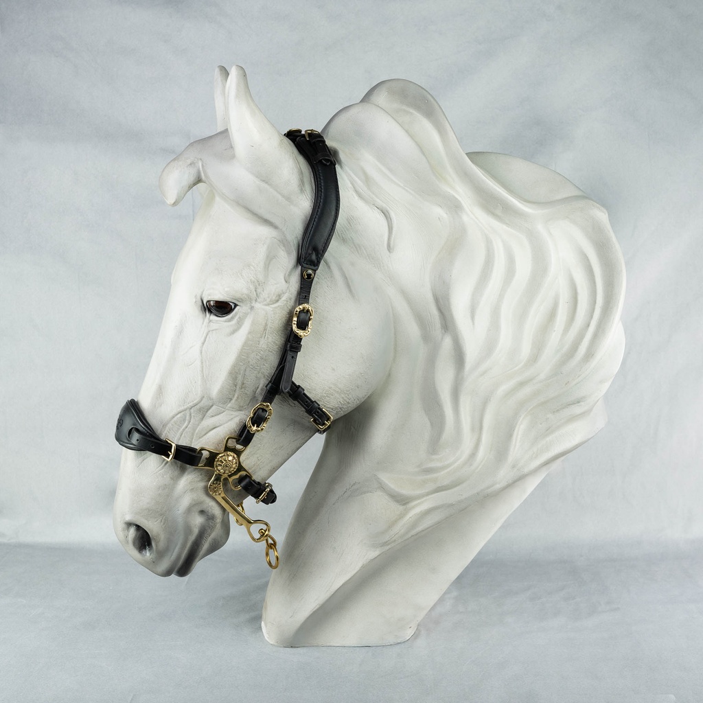 Barock Hackamore Majestic