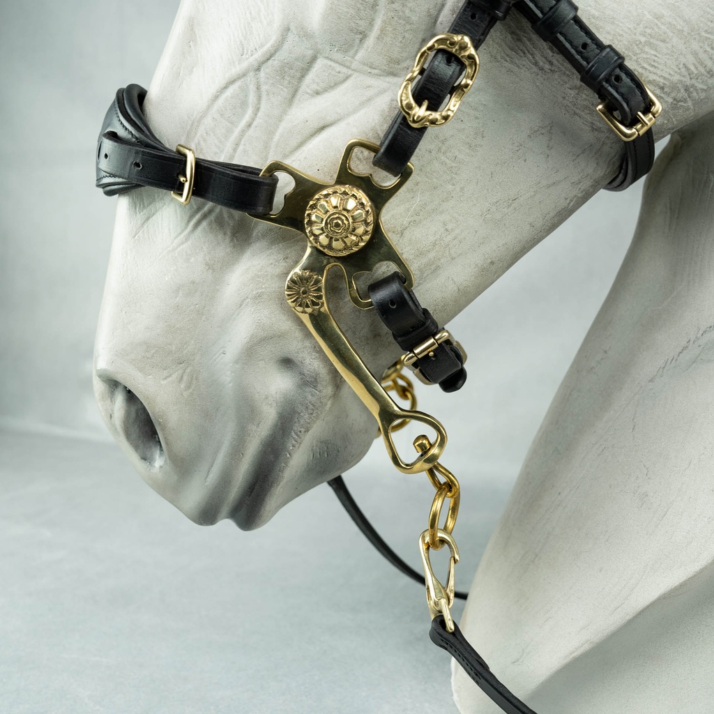 Barock Hackamore Majestic