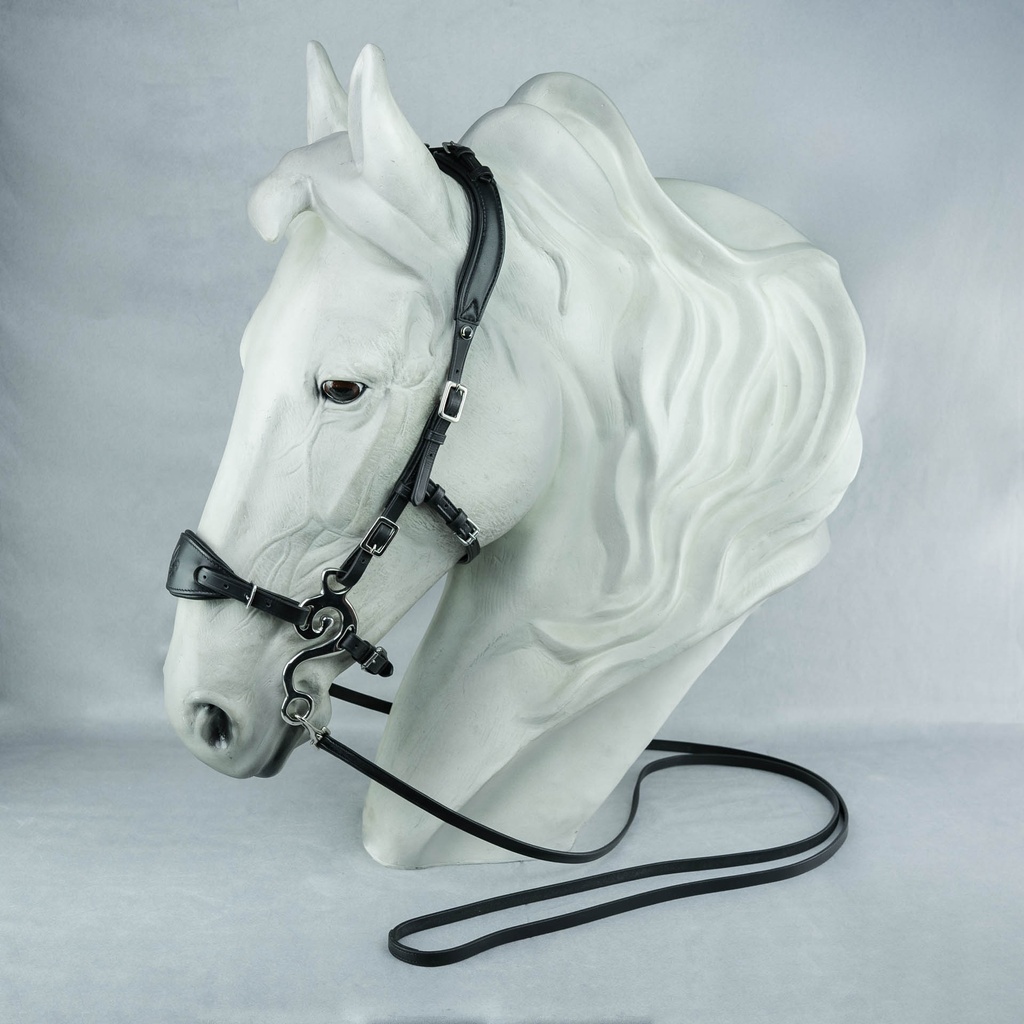 Hackamore Suerto