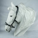 Hackamore Suerto