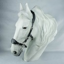 Hackamore Suerto