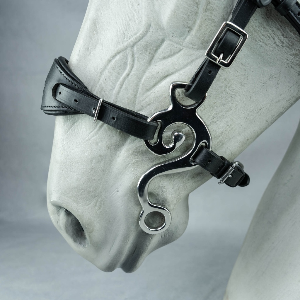 Hackamore Suerto