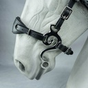 Hackamore Suerto