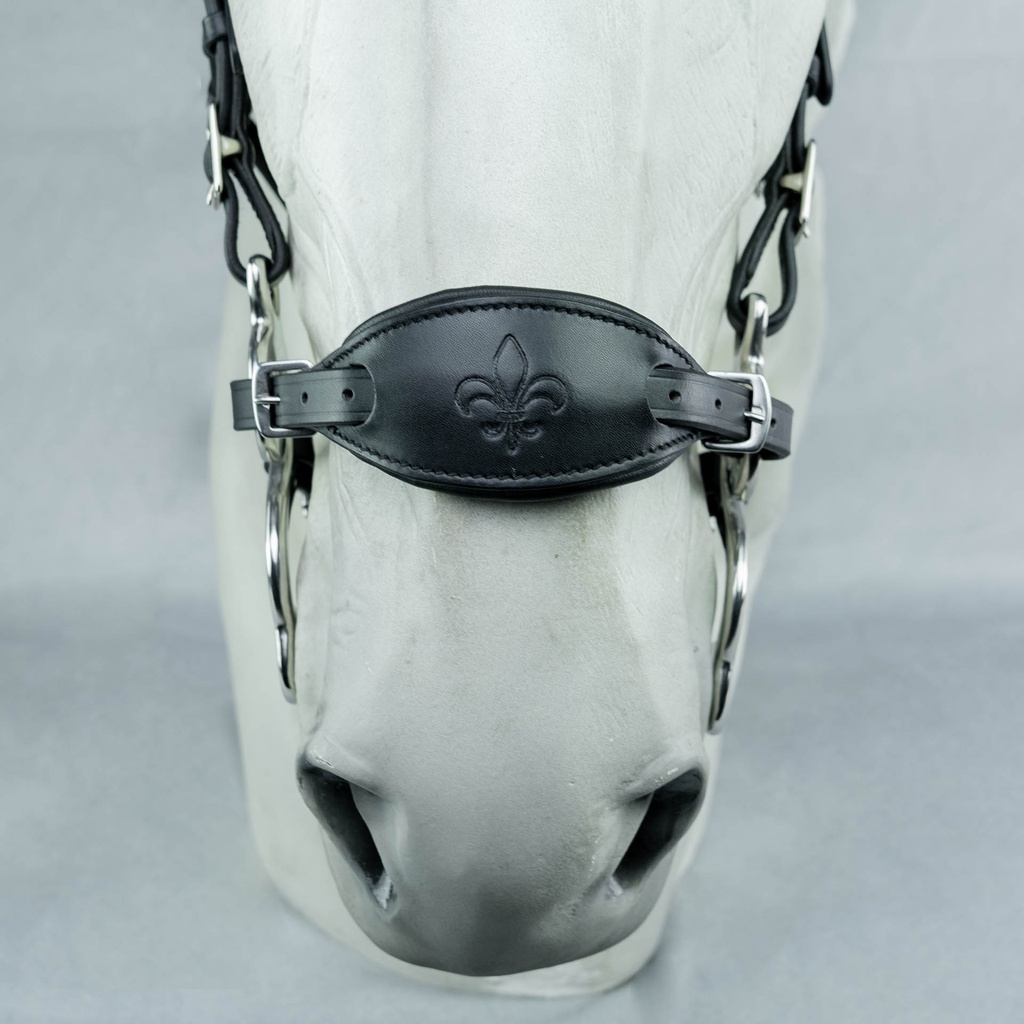 Hackamore Suerto