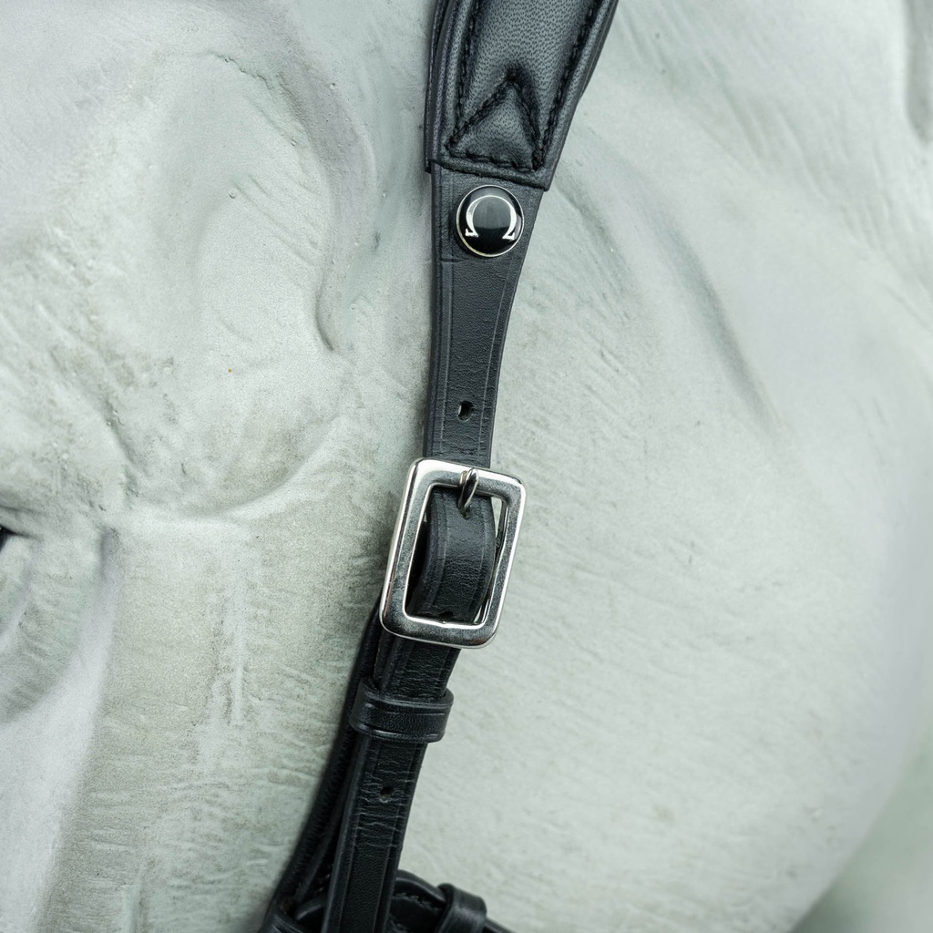 Hackamore Suerto