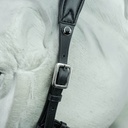 Hackamore Suerto