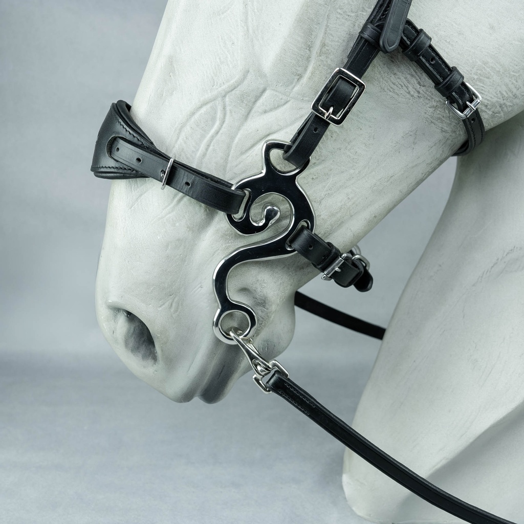 Hackamore Suerto