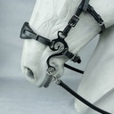 Hackamore Suerto