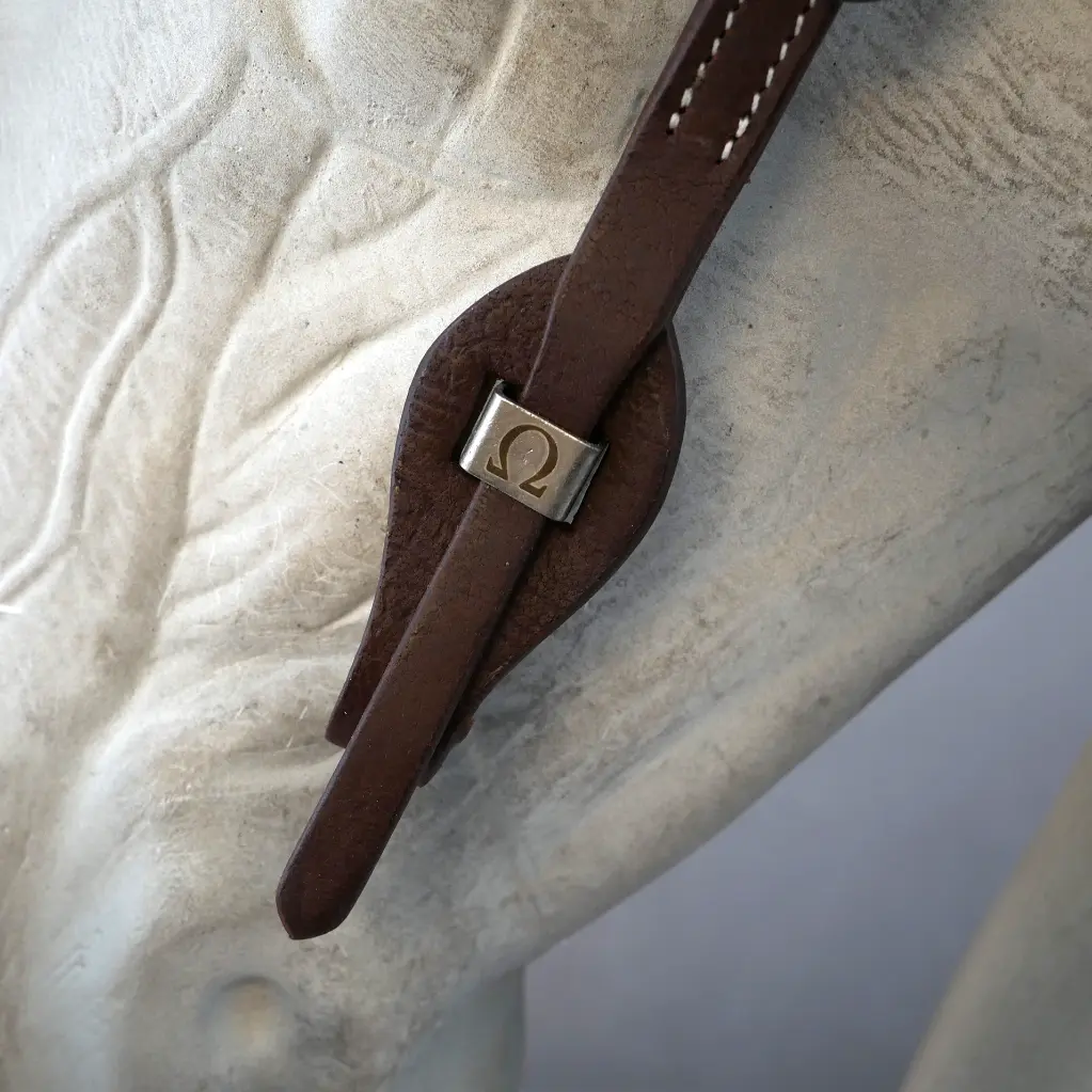 CountryBridle_schokosilber_6.webp