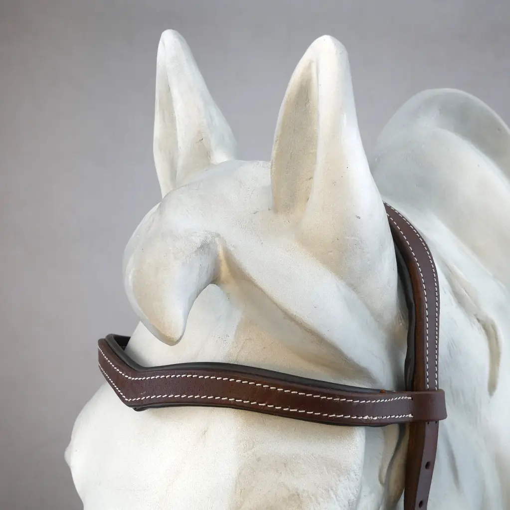 CountryBridle_schokosilber_3.webp