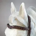 CountryBridle_schokosilber_3.webp