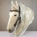 CountryBridle_schokosilber_2.webp