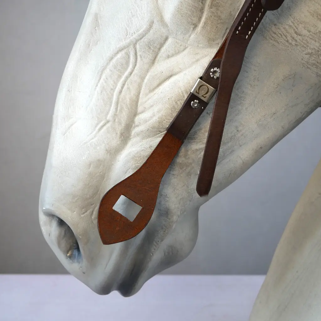 CountryBridle_schokosilber_7.webp