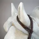 Einohrtrense_schokoMessing_3.webp