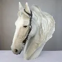 Einohrtrense_schokosilber_2.webp