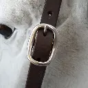 Einohrtrense_schokosilber_3.webp