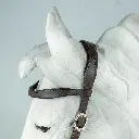A7401713.webp