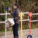 Hobby Horse Slalomstange