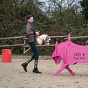 Hobby Horse Stier 3d