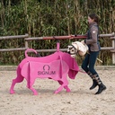 Hobby Horse Stier 3d