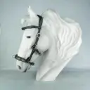 Kappzaum Flexi-Iron Limited Edition