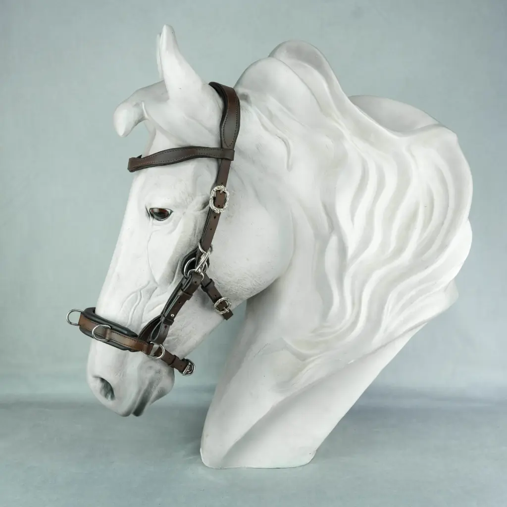 Caveçon Flexi-Iron Édition Limitée