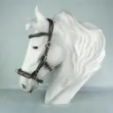 Capezzina Flexi-Iron Limited Edition
