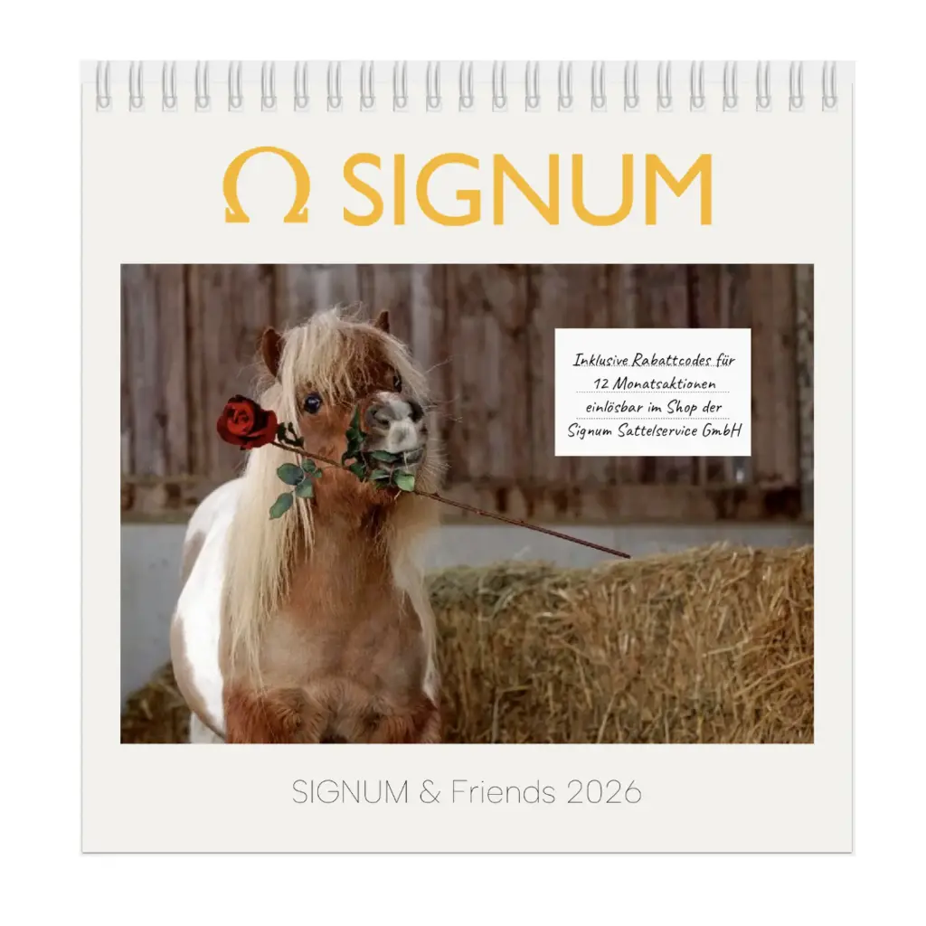 Signum & Friends Charity Kalender 2026