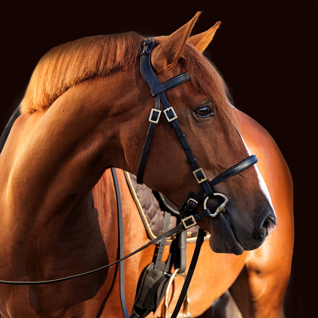 Portugiesischer Zaum Campo Deluxe mit Lederzügeln