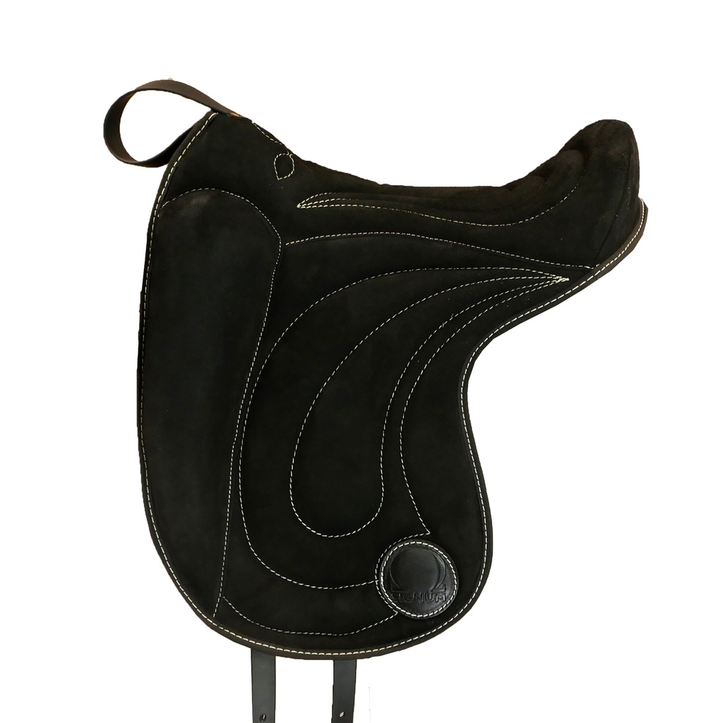 Reitpad Dressage + Klettkissen Bundle