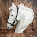 [120.2501] Cavesson Conde Soft Connection (Noir, Argent, S(Pony))