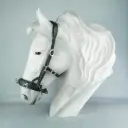 Kenzie Dysli Kappzaum