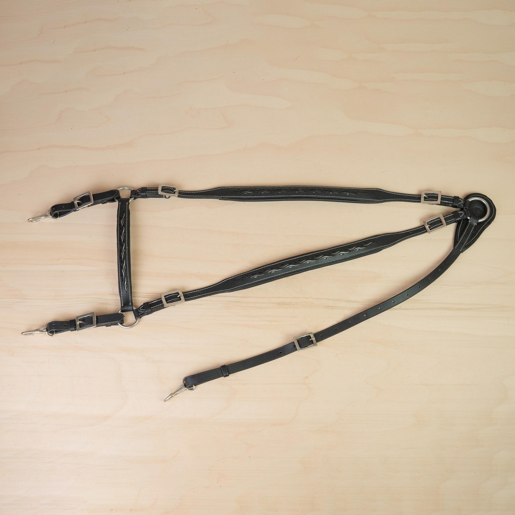 Kenzie Dysli Show Vorderzeug Calada