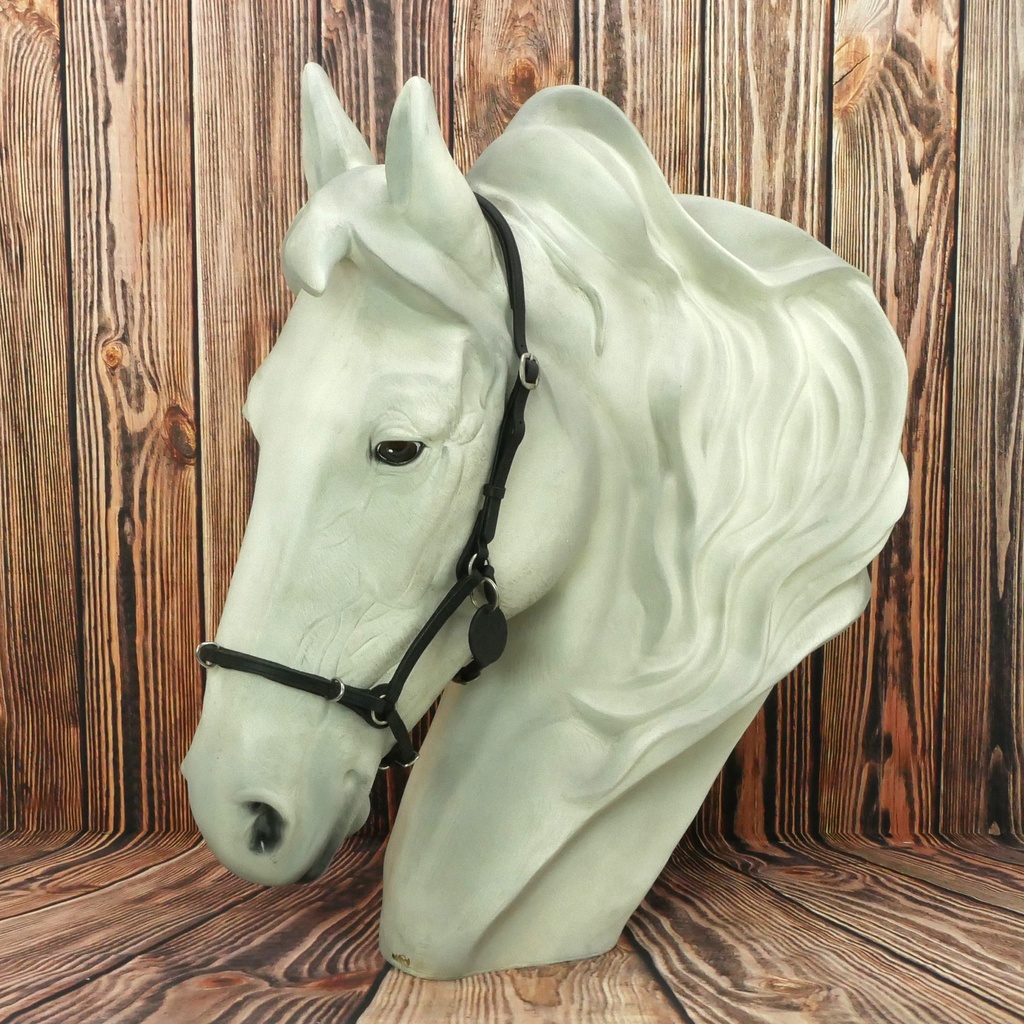 Light Cavesson Vallentin