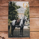 SIGNUM Lederpflegetuch