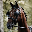 Briglia da ufficiale Working Equitation Driving Edition