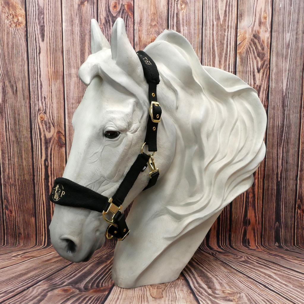 Fleece-Halfter Golden Pintos