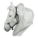 Kenzie Dysli Knotenhalfter Vaquera