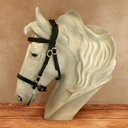 Spanischer Zaum Conde Deluxe mit Lederzügeln