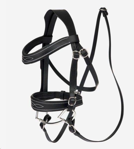 Hobby Horse Competition Bridle