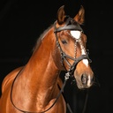 Outlet Offizierszaum Sidepull