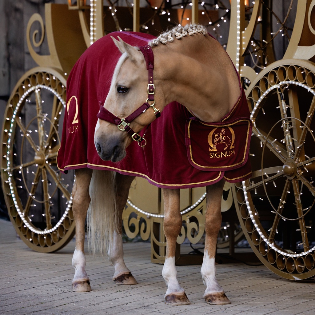 SIGNUM Cooler Rug Royal