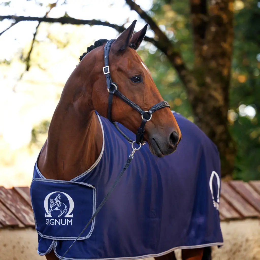 Abschwitzdecke Softshell