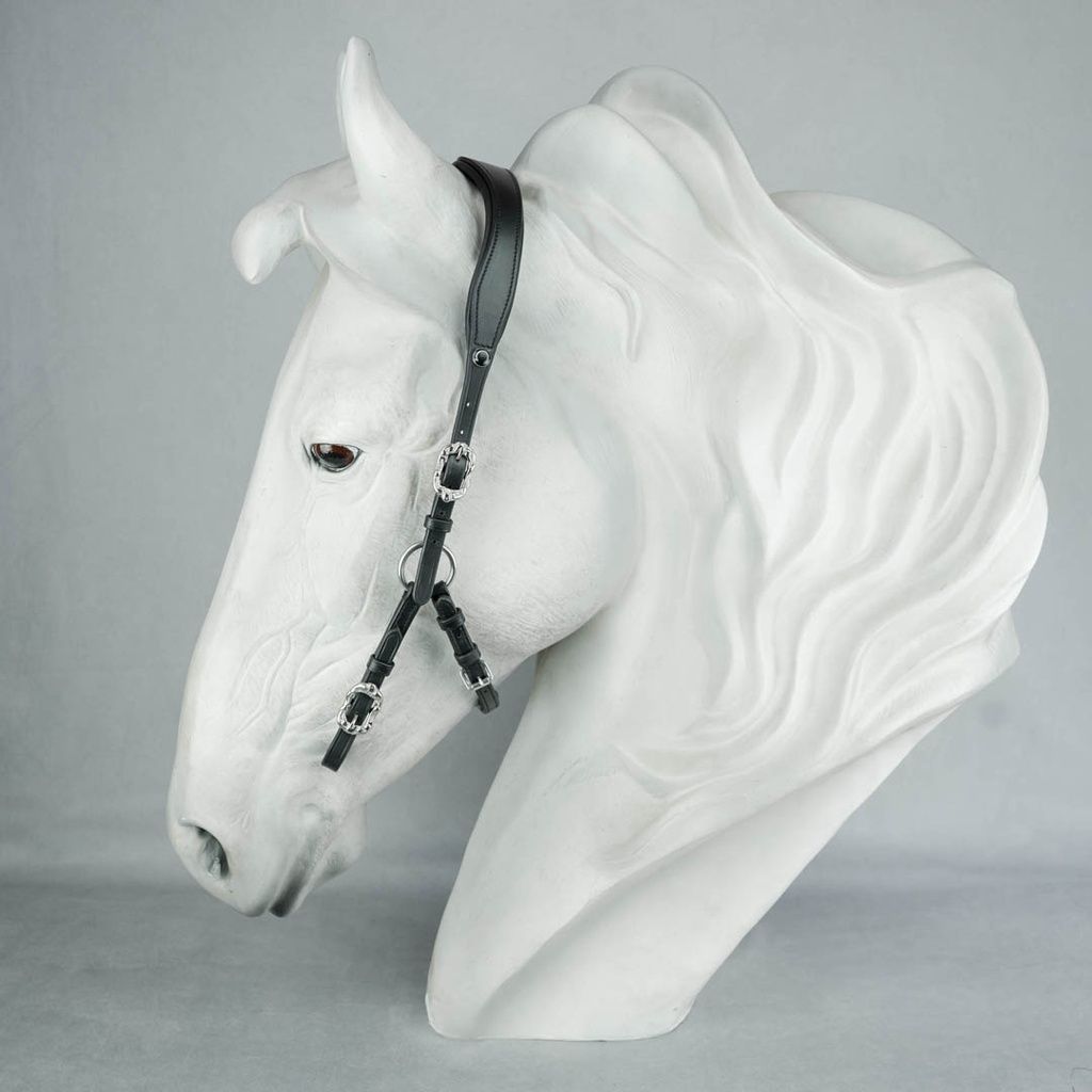 Semizaum Deluxe Conde