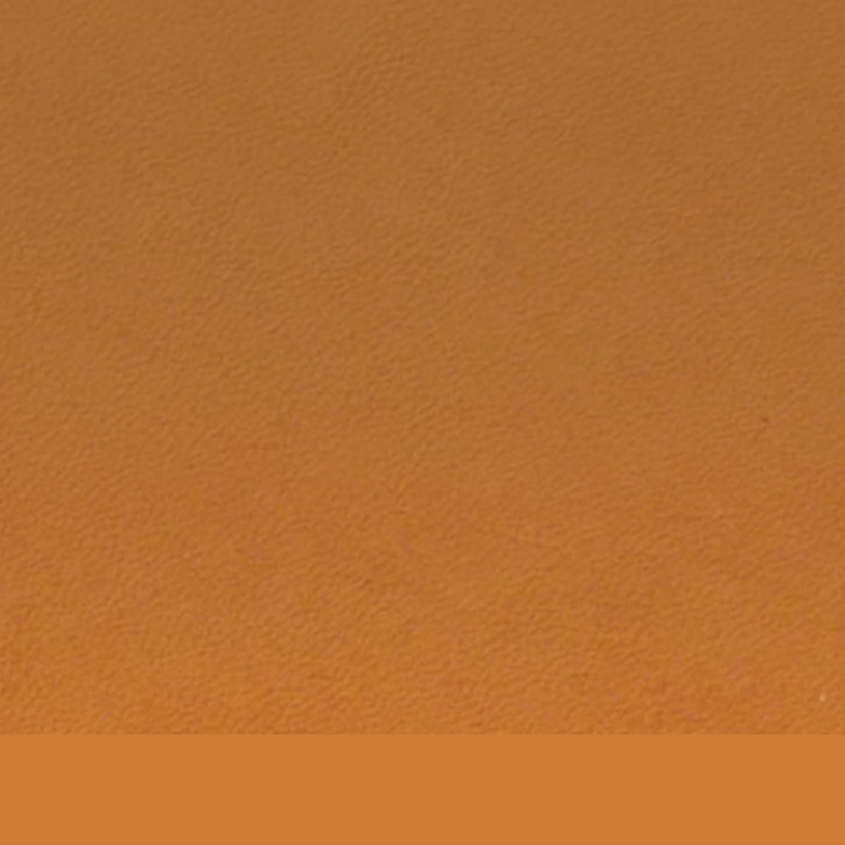 Couleur du Cuir: Naturel
