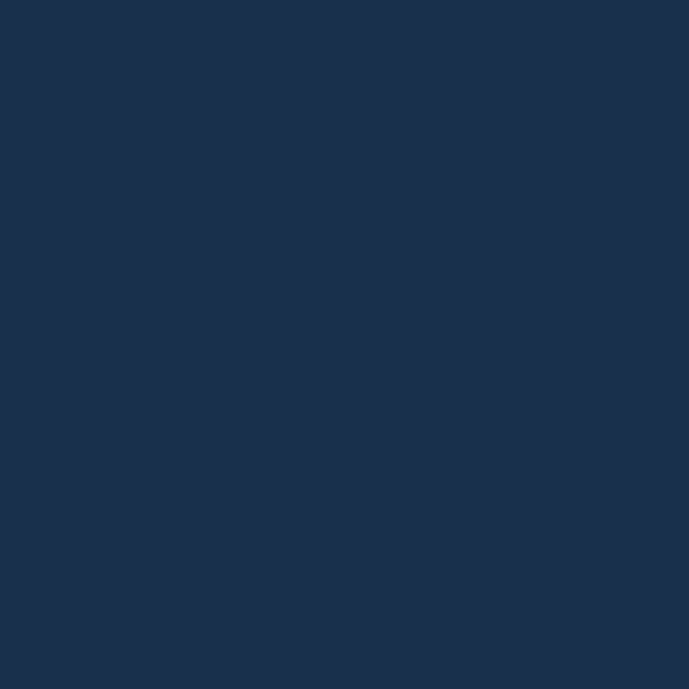 Farbe Fleece: Navy