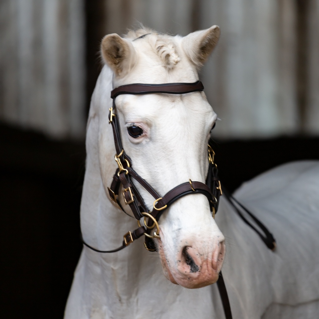 Sidepull Campo mit Lederzügeln